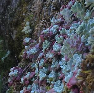 Meet your Posher, Ginny